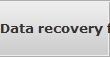 Data recovery for Chapel Hill data